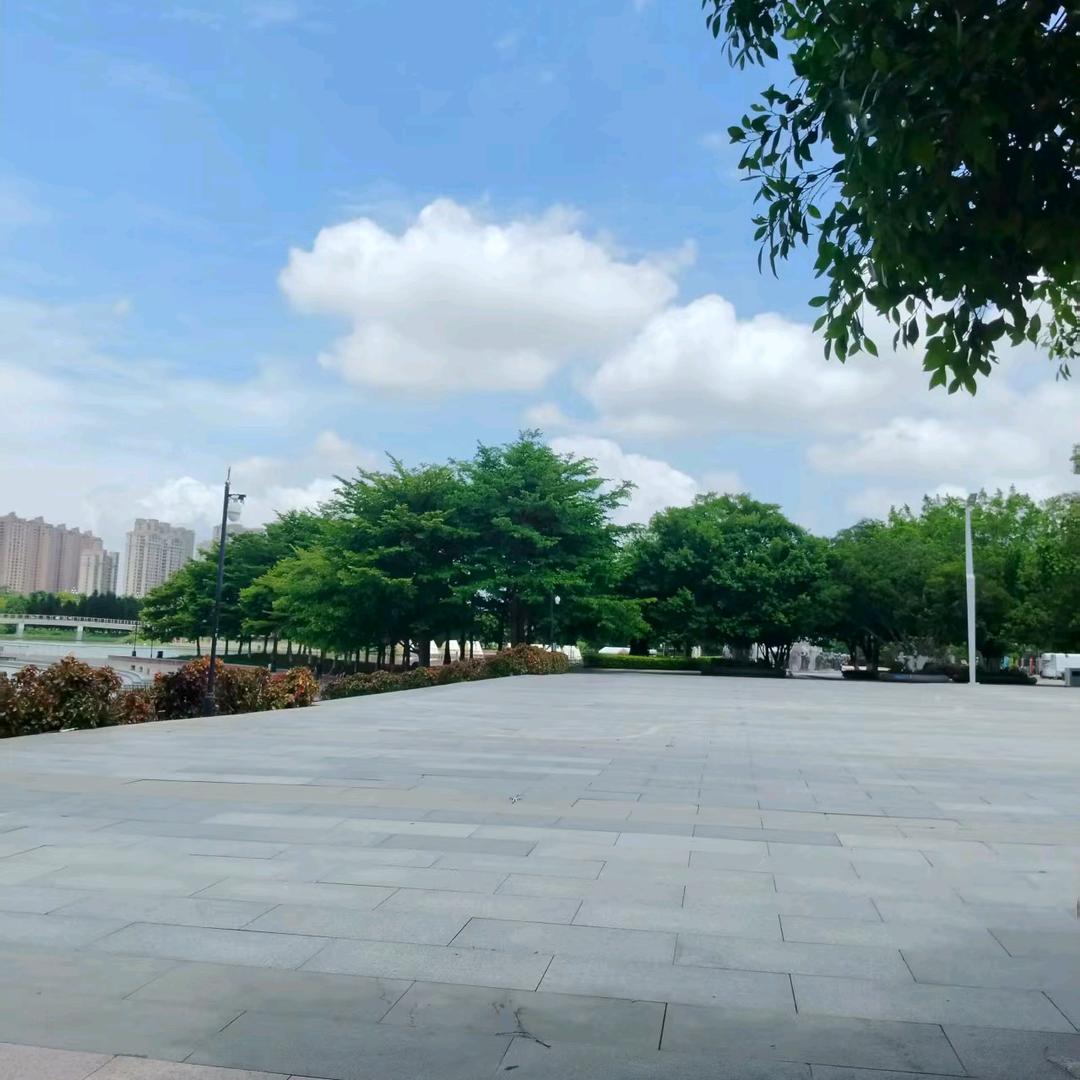 小柿子