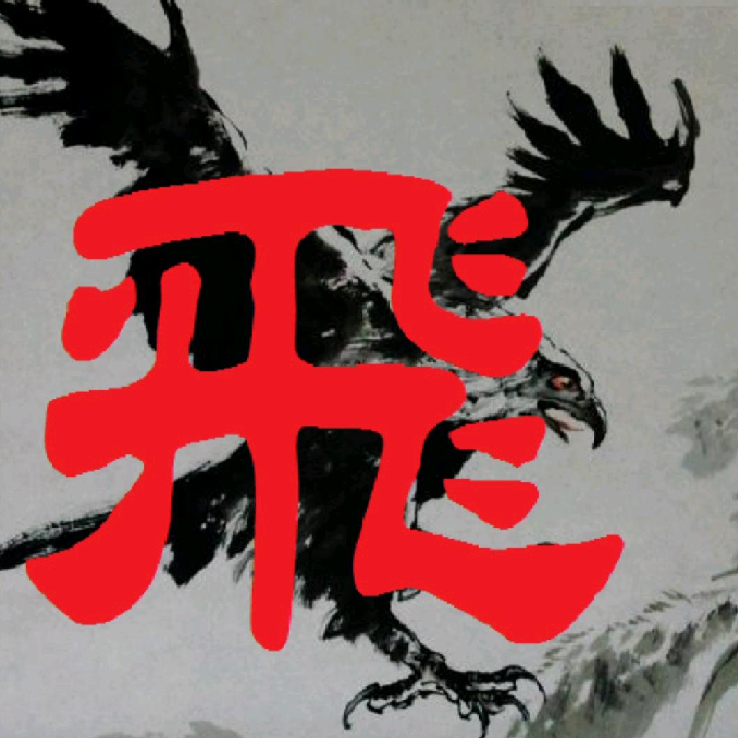 飞哥的日常生活