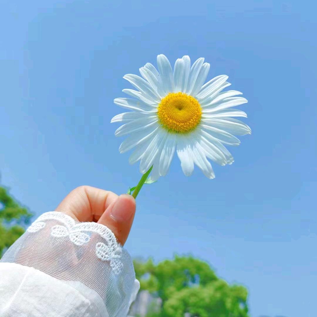 玉丝族足疗店官方号