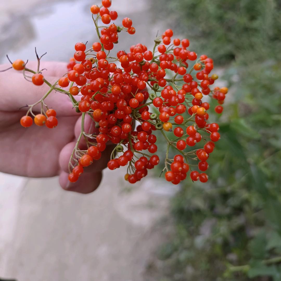 好运气