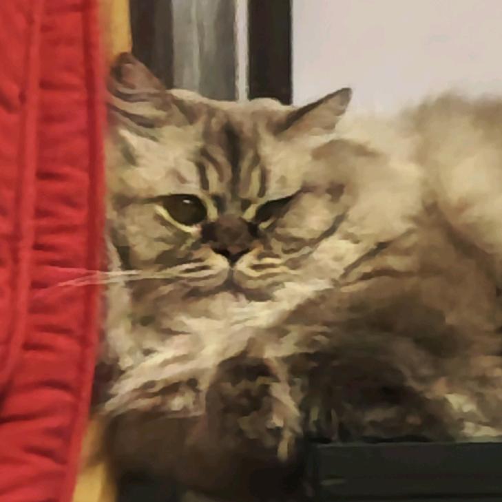 田园新能源阿温