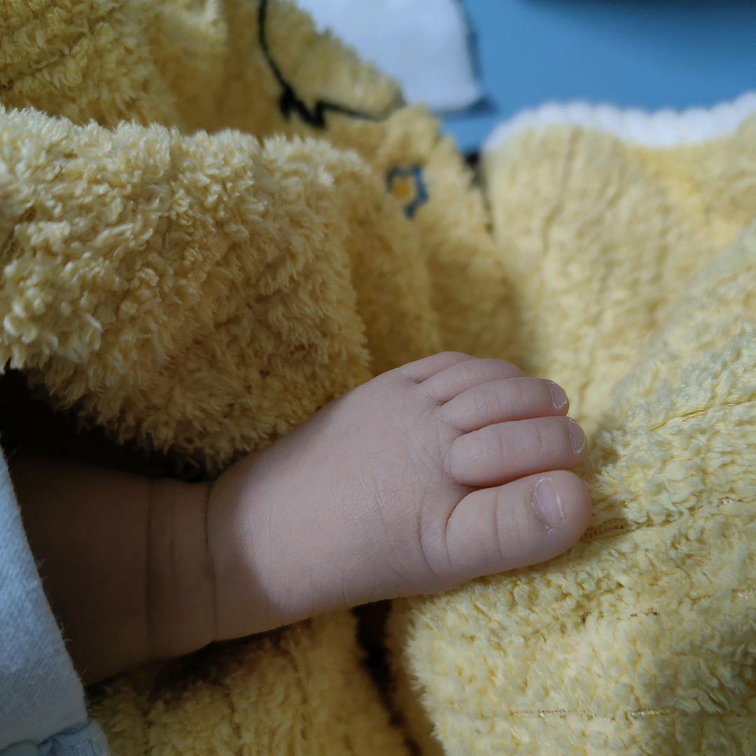 随便起起的名字