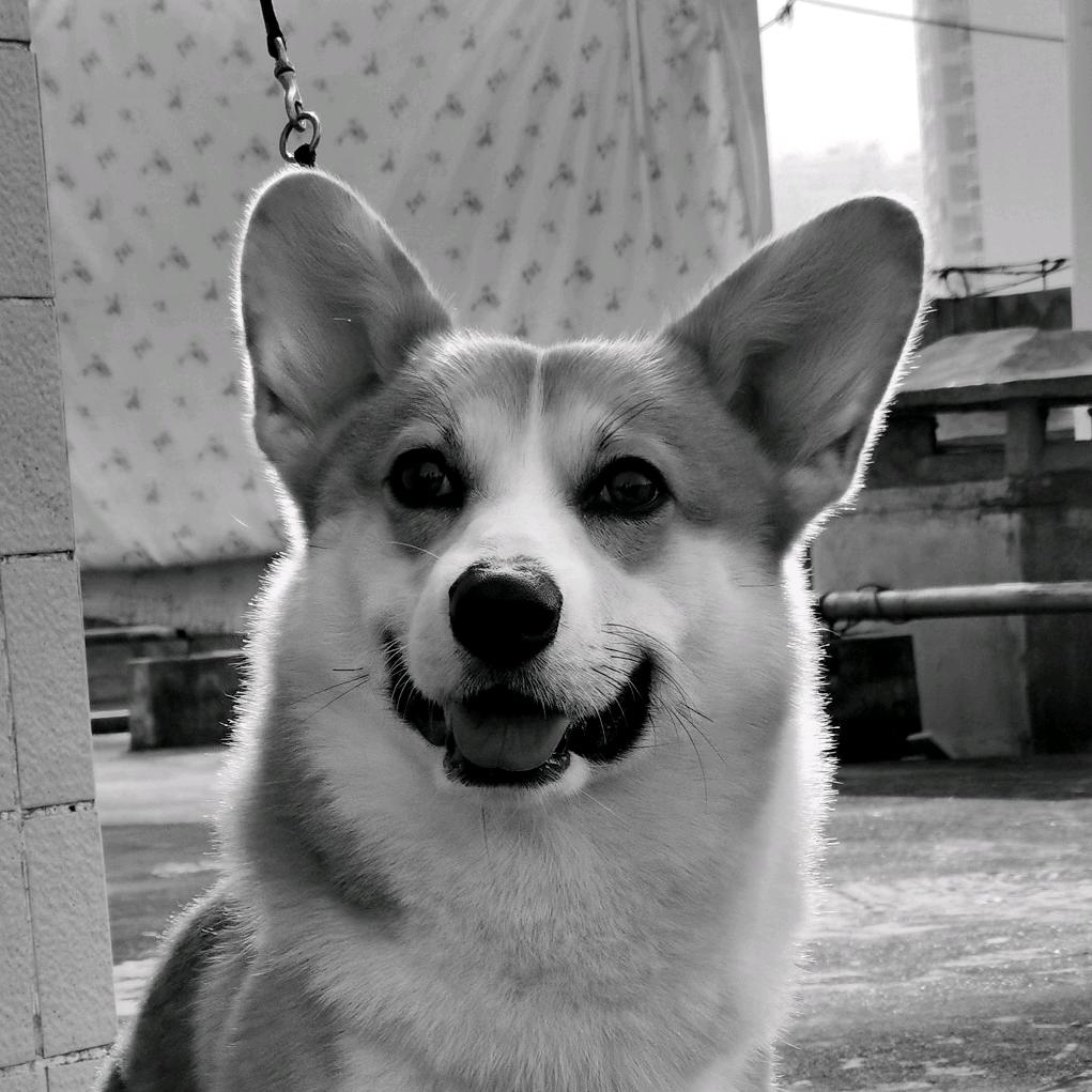 ɢᵒᵒᵈ