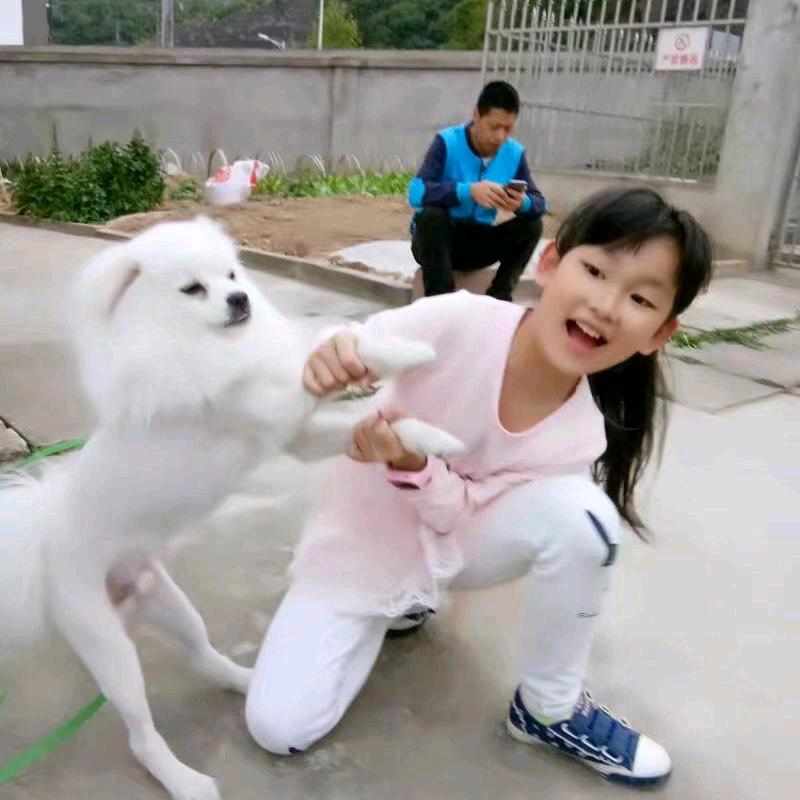 燕子丫♛^O^