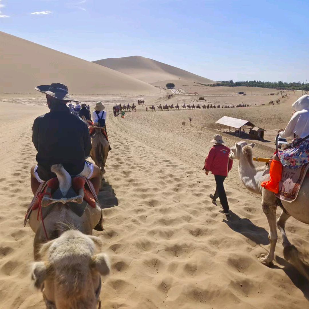 富贵不能淫如锦衣夜行