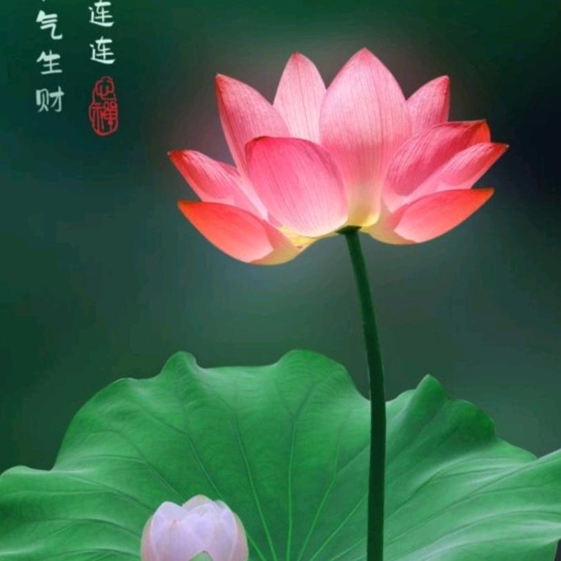 _武
