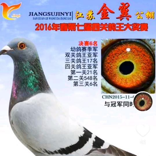 红天国际