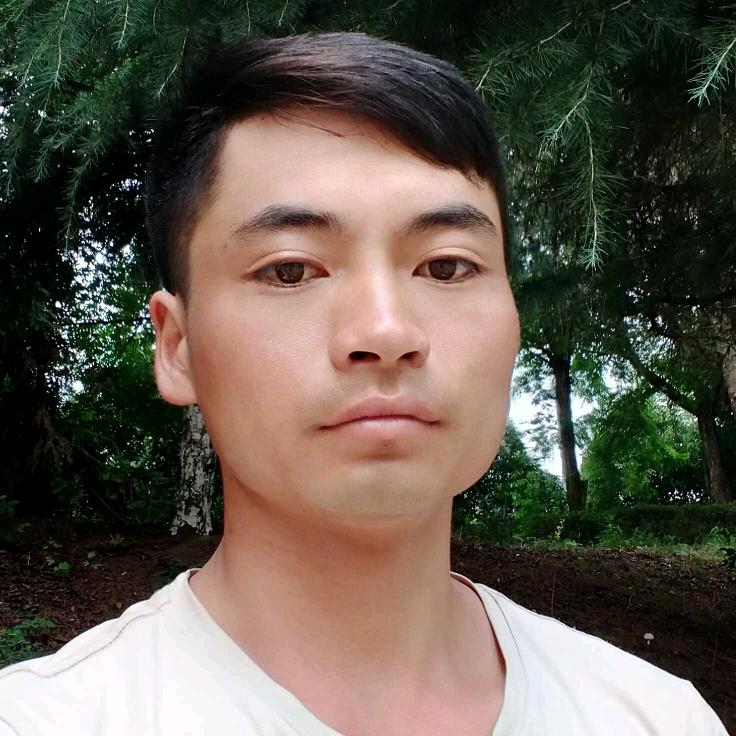 专业承接拆架子拆木王保成