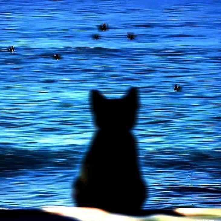 游标卡尺🐰🐰