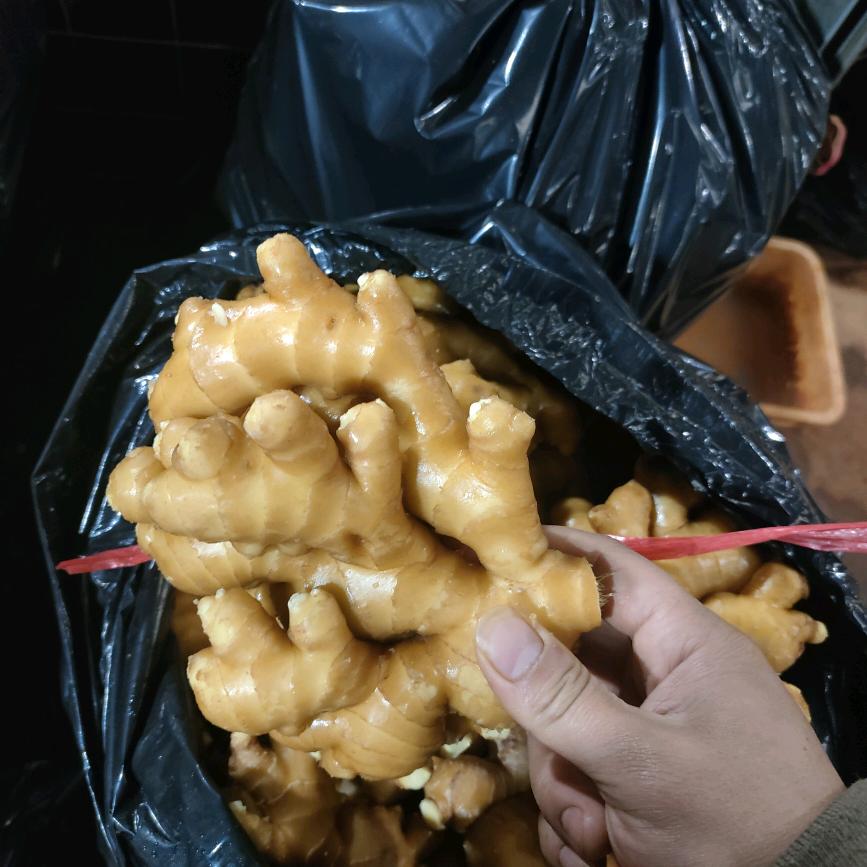 王俊智~姜蒜批发