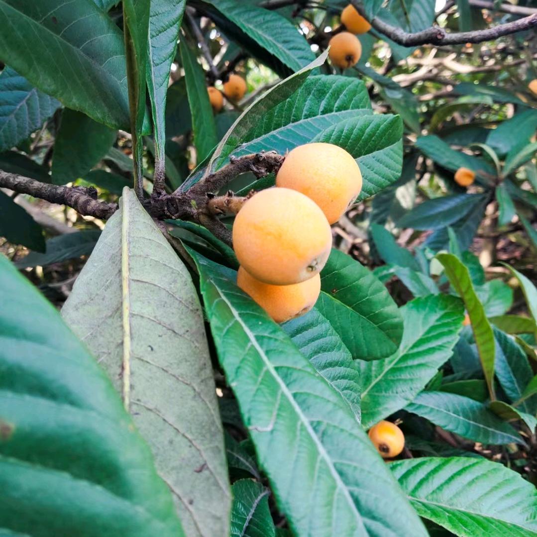 一路向阳🦀🦀9013