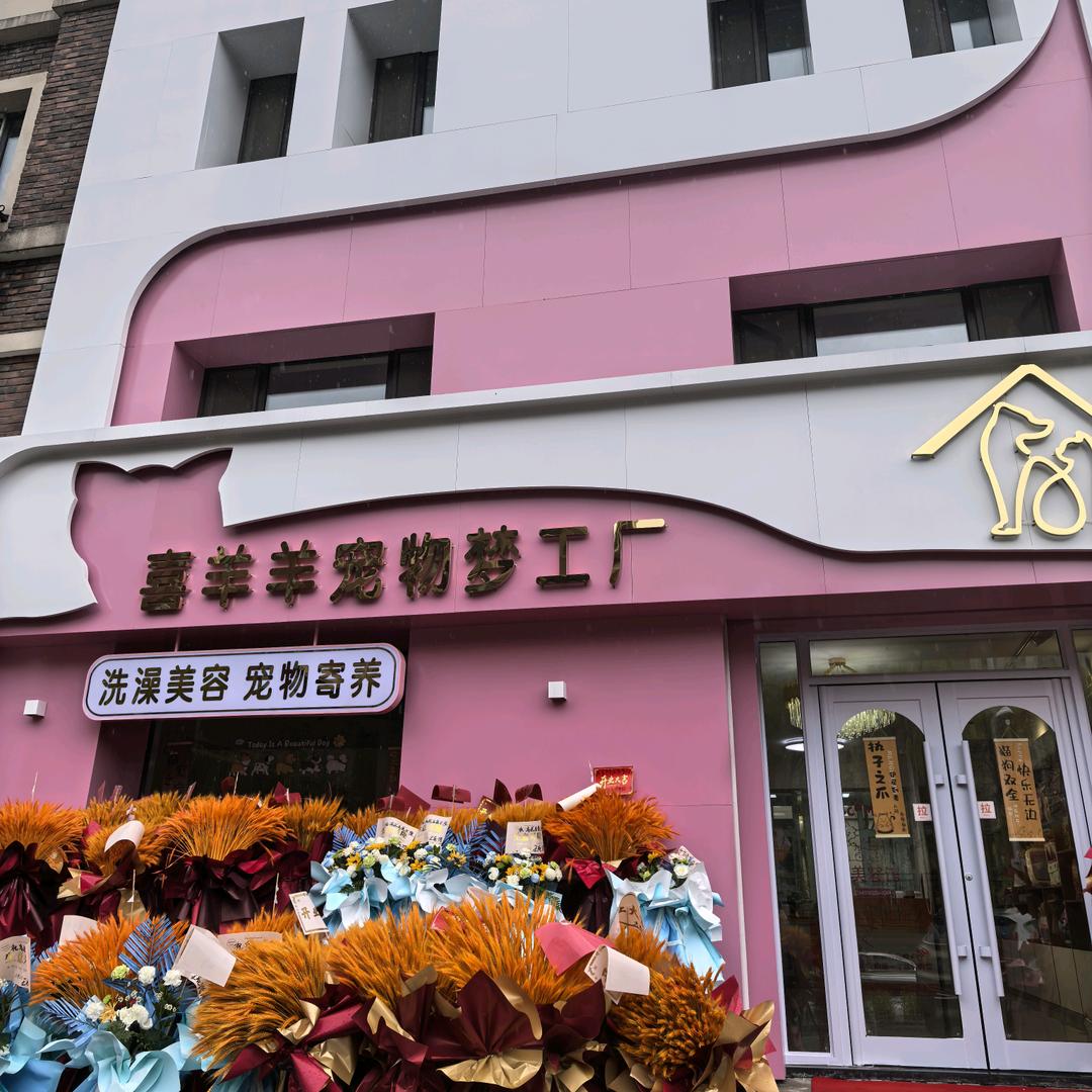 喜羊羊宠物梦工厂