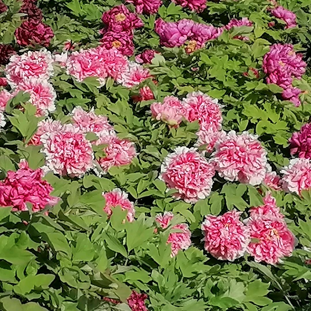 🐰沐晴