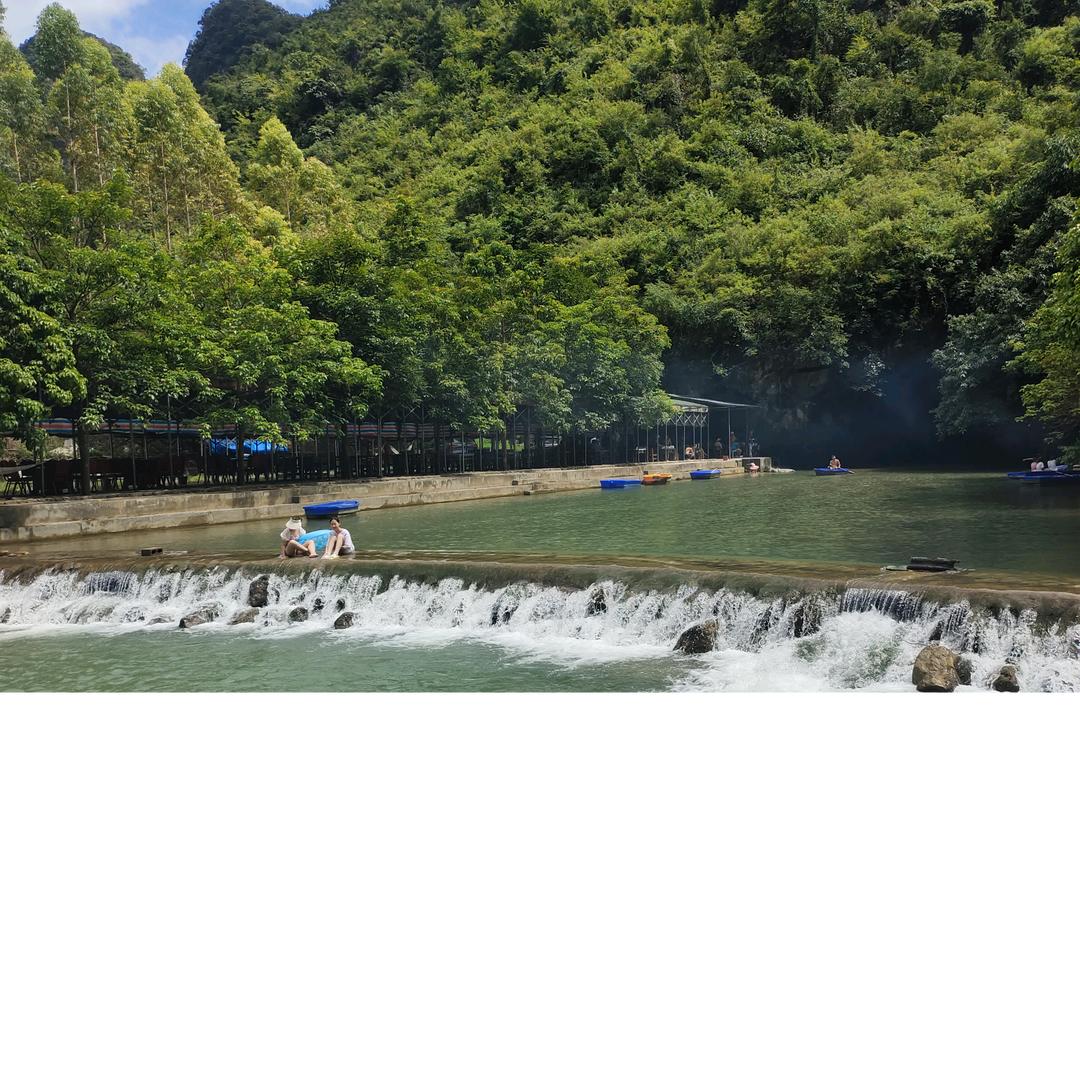 阳阳是洋