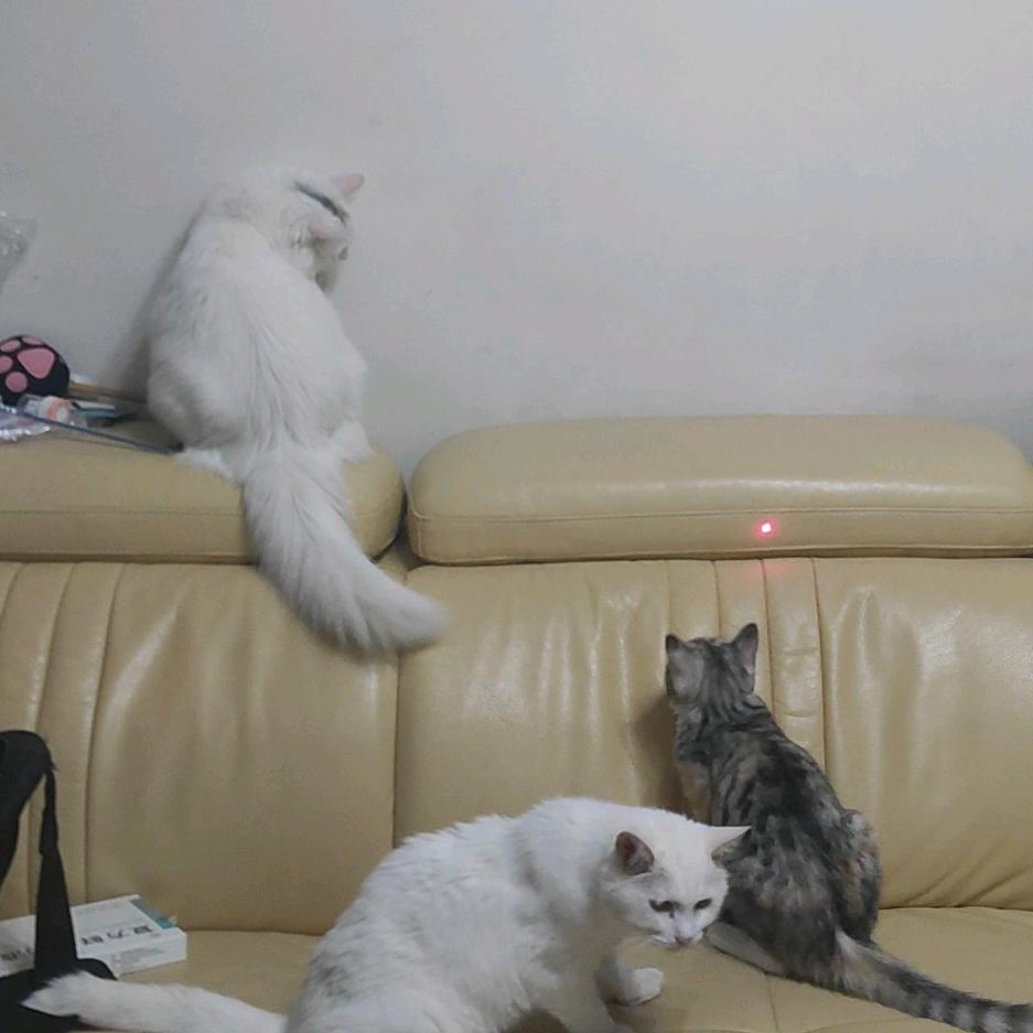 摸鱼我是专业的