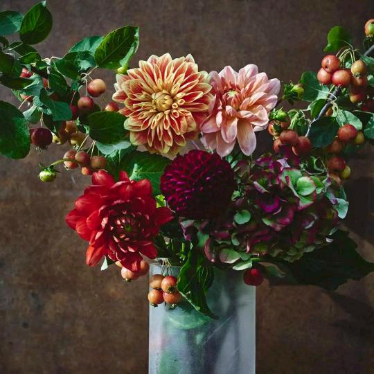 月亮代表我的心