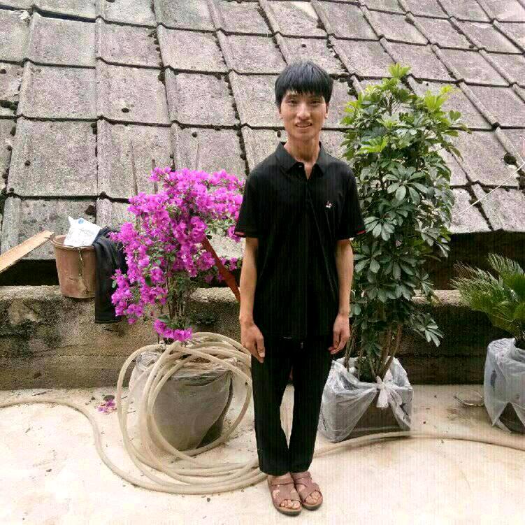四季如春