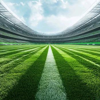 足球青花鱼柠柠