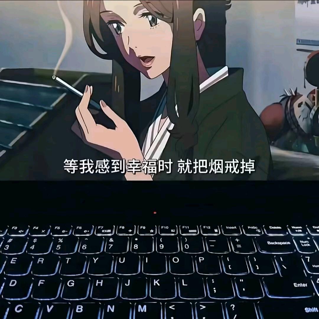 飞飞鱼