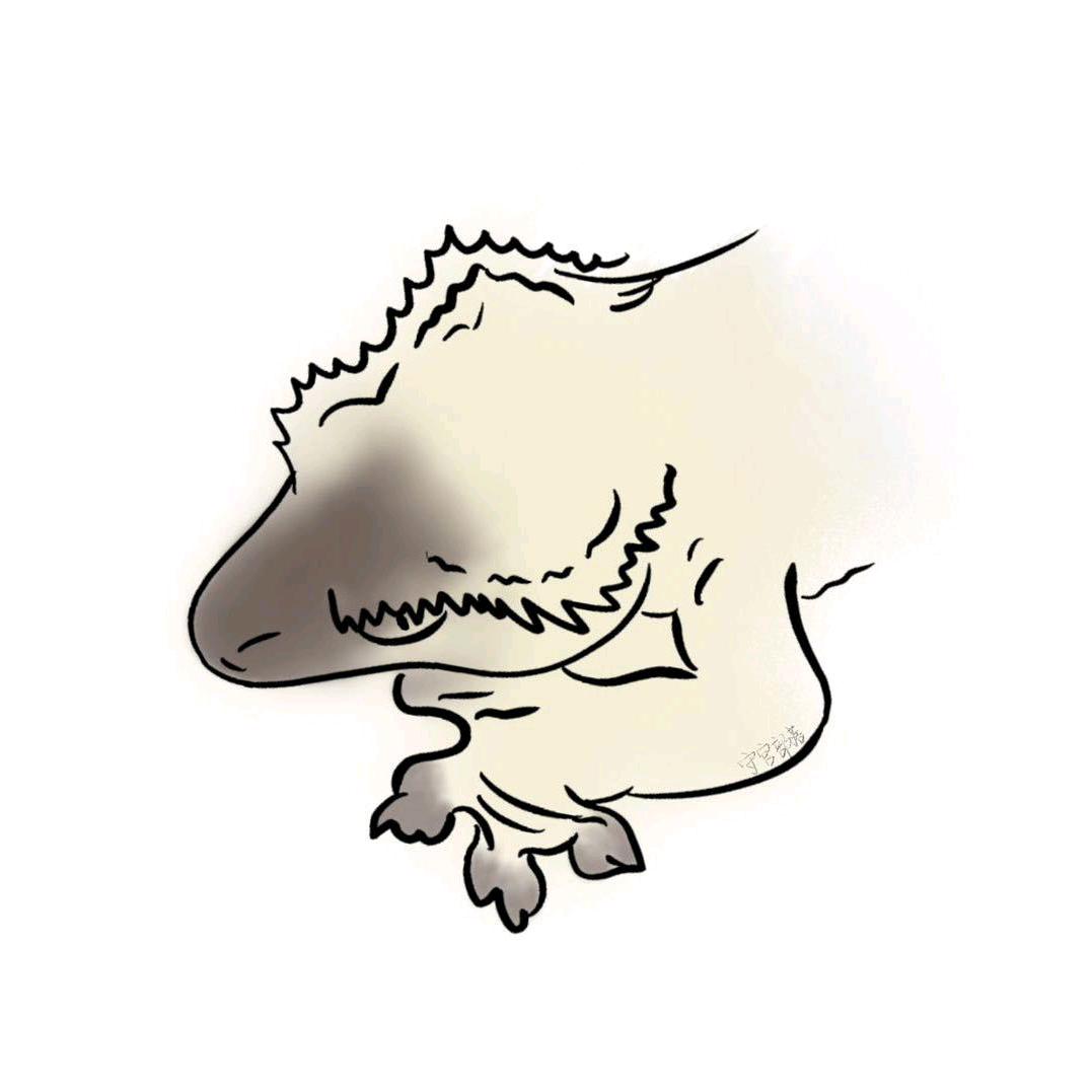 守宫部落爬宠工作室