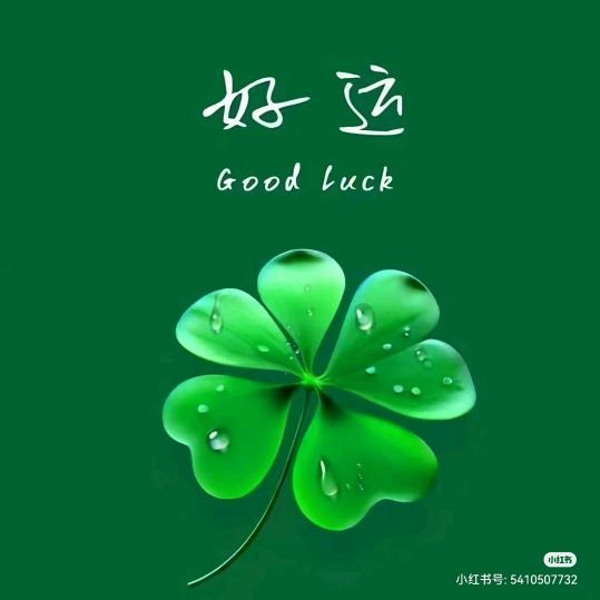 执手不离