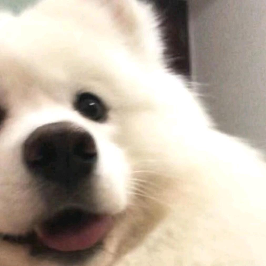 中海铭铭