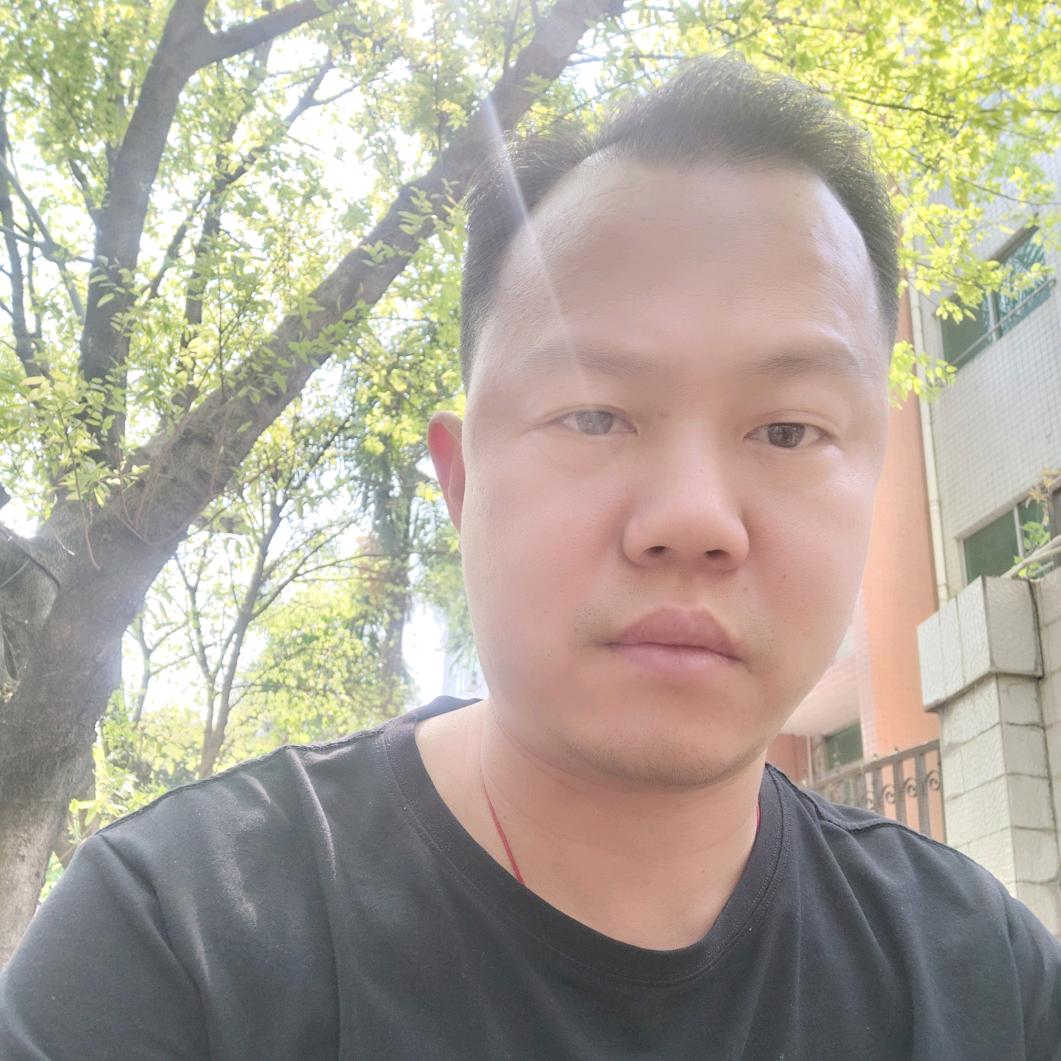 飞象过河
