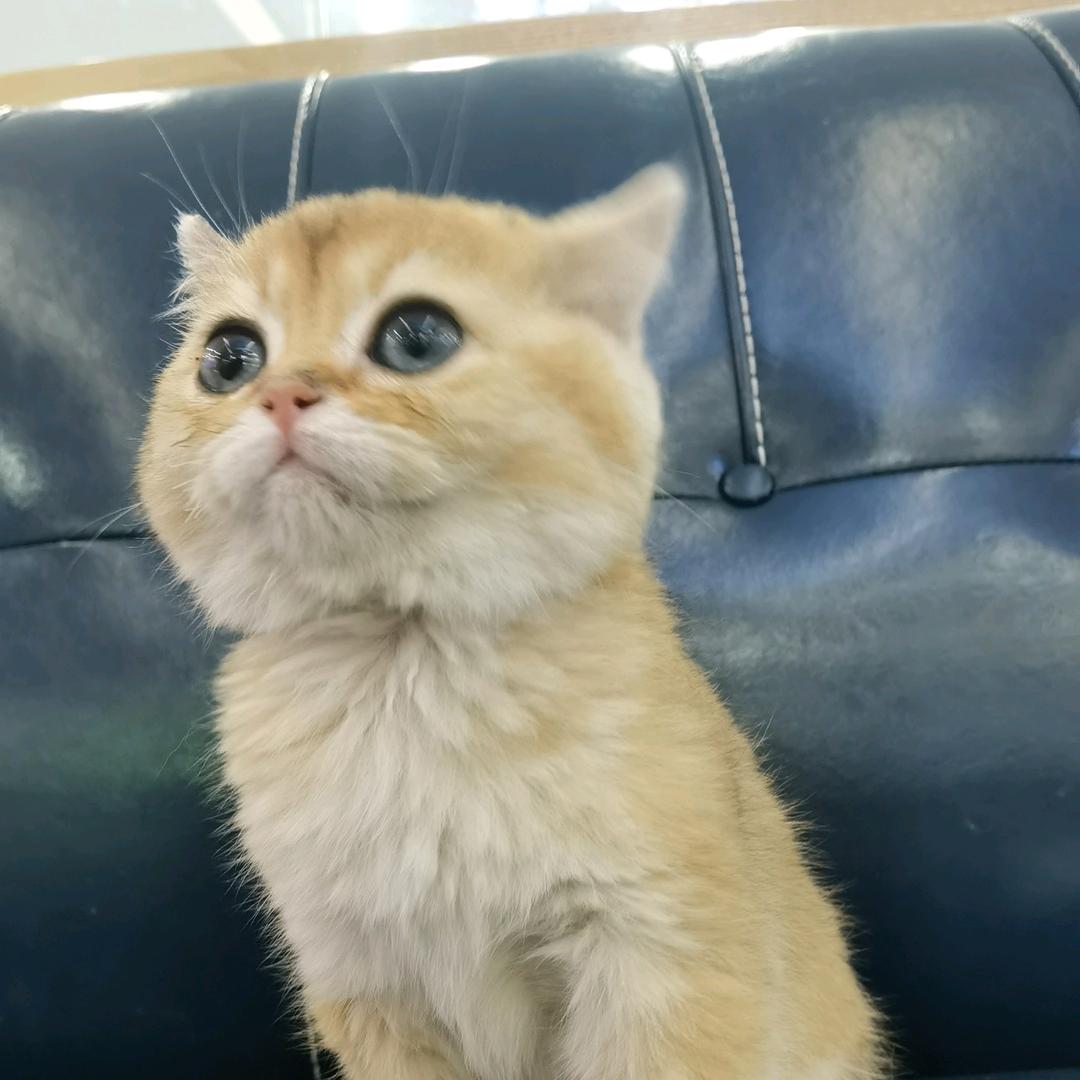一路生花