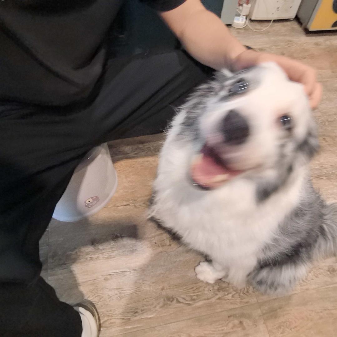 束手就秦