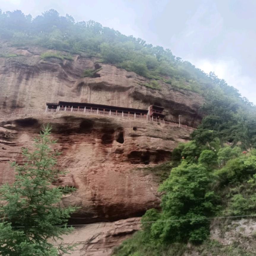 静宁苹果