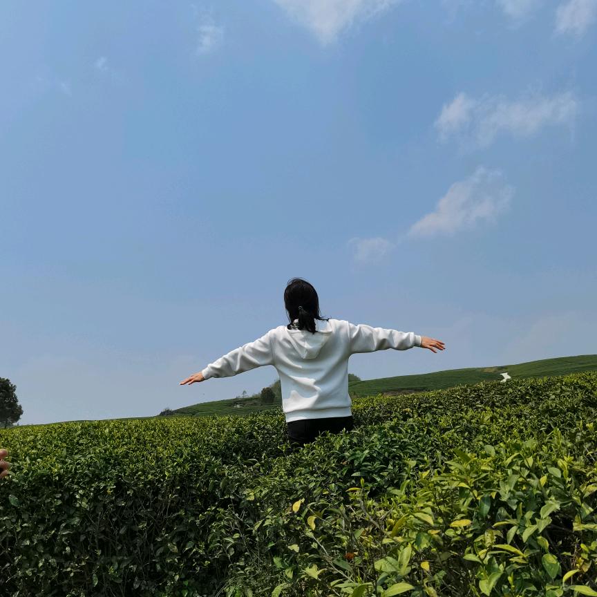 婷子
