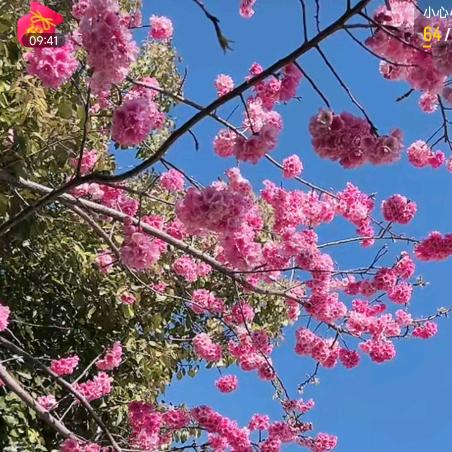 兰兰٩(๑•̀ω•́๑)۶