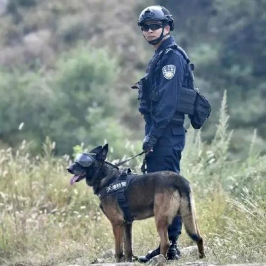 「真相探索者」👀