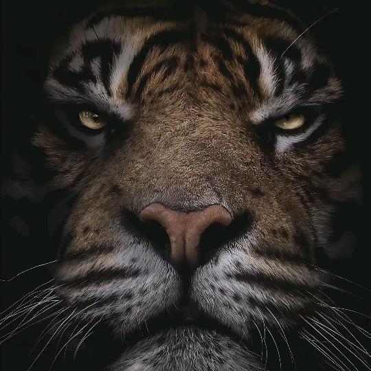 年年