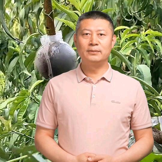 老农种植户