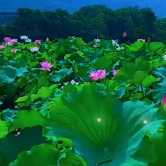 往事清零，一切随缘