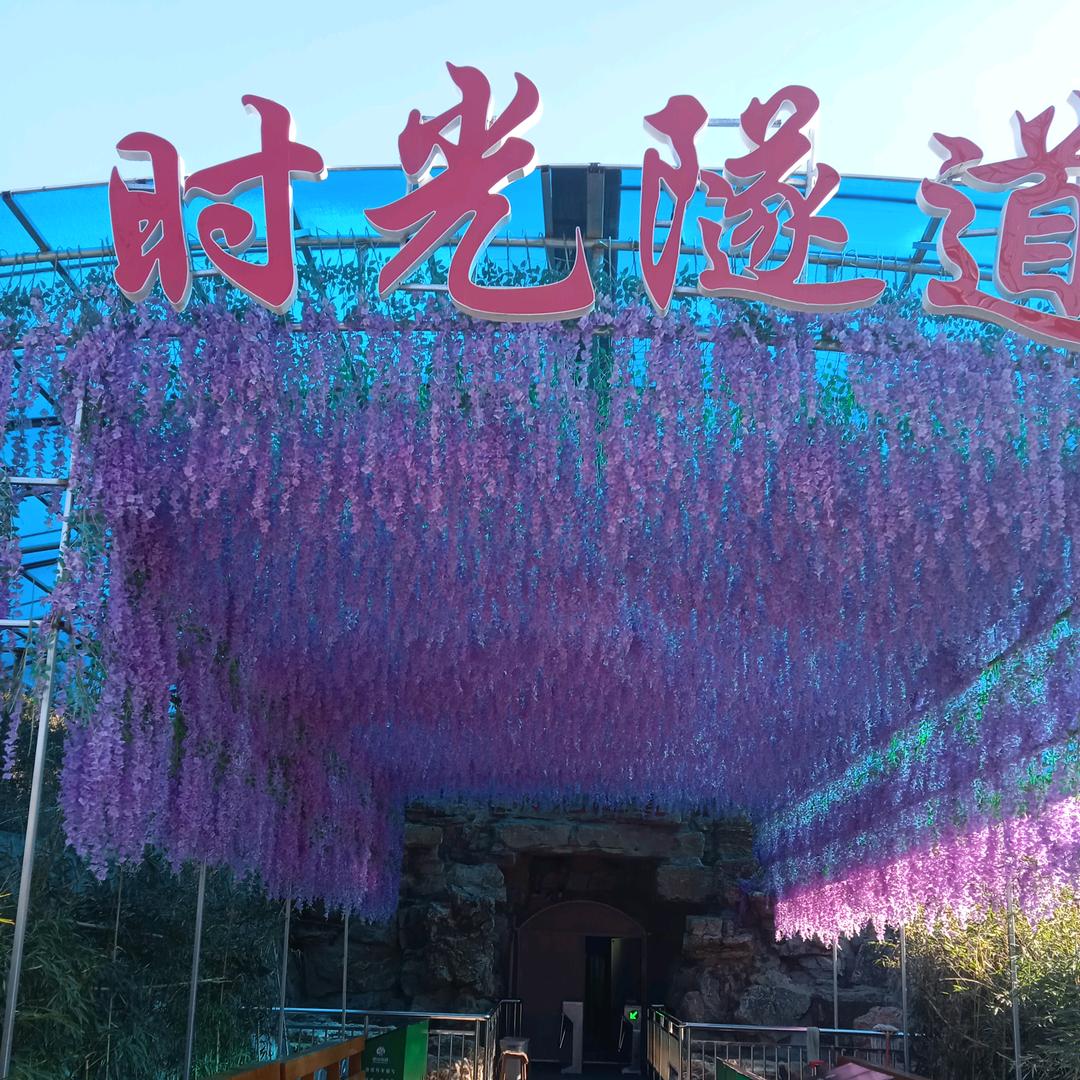 开心万岁