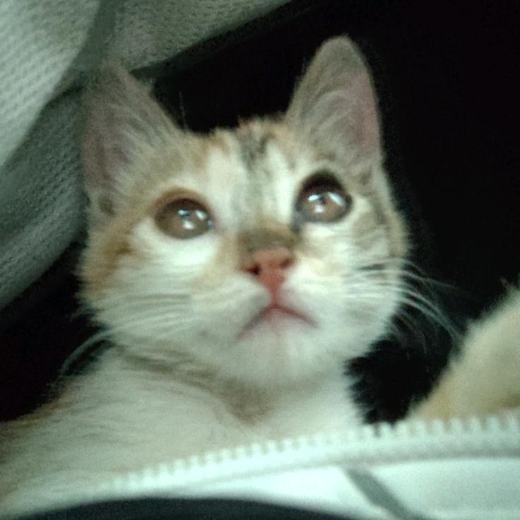 是金子总会花光