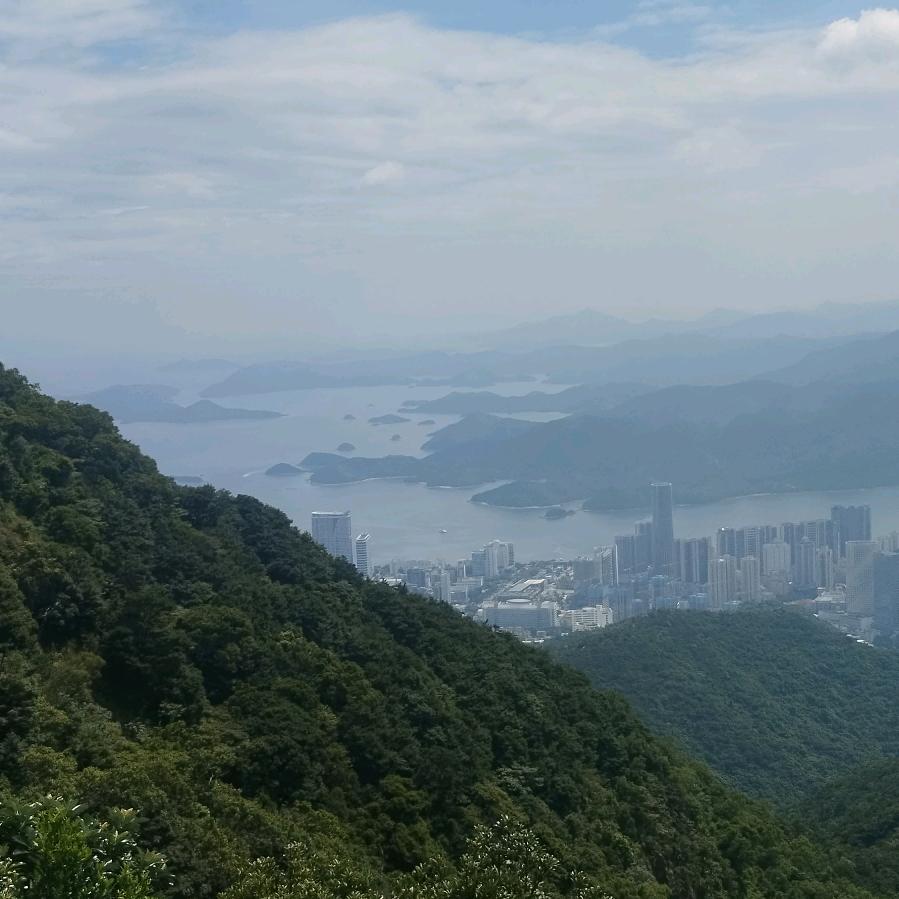 大山里的阿黄