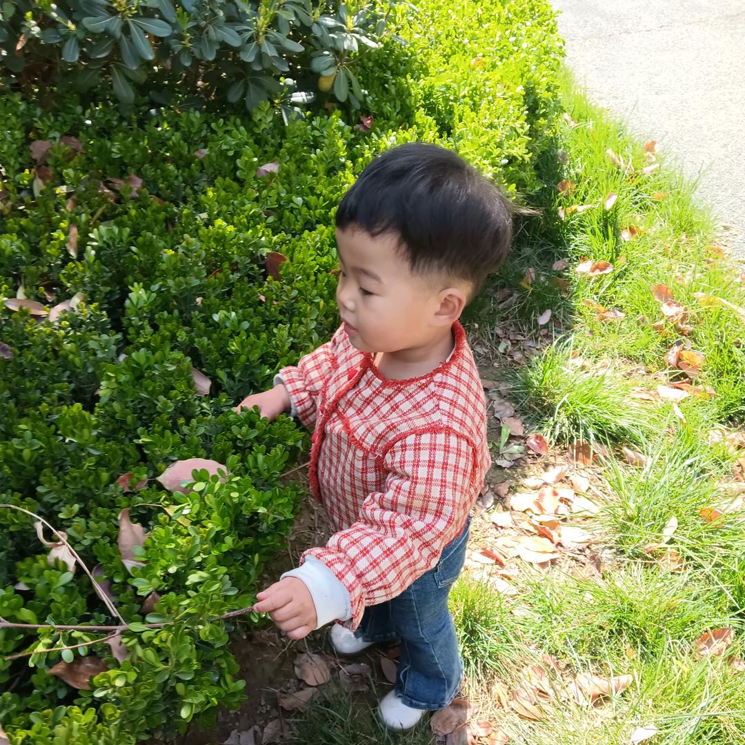 开 心 快 乐🌻