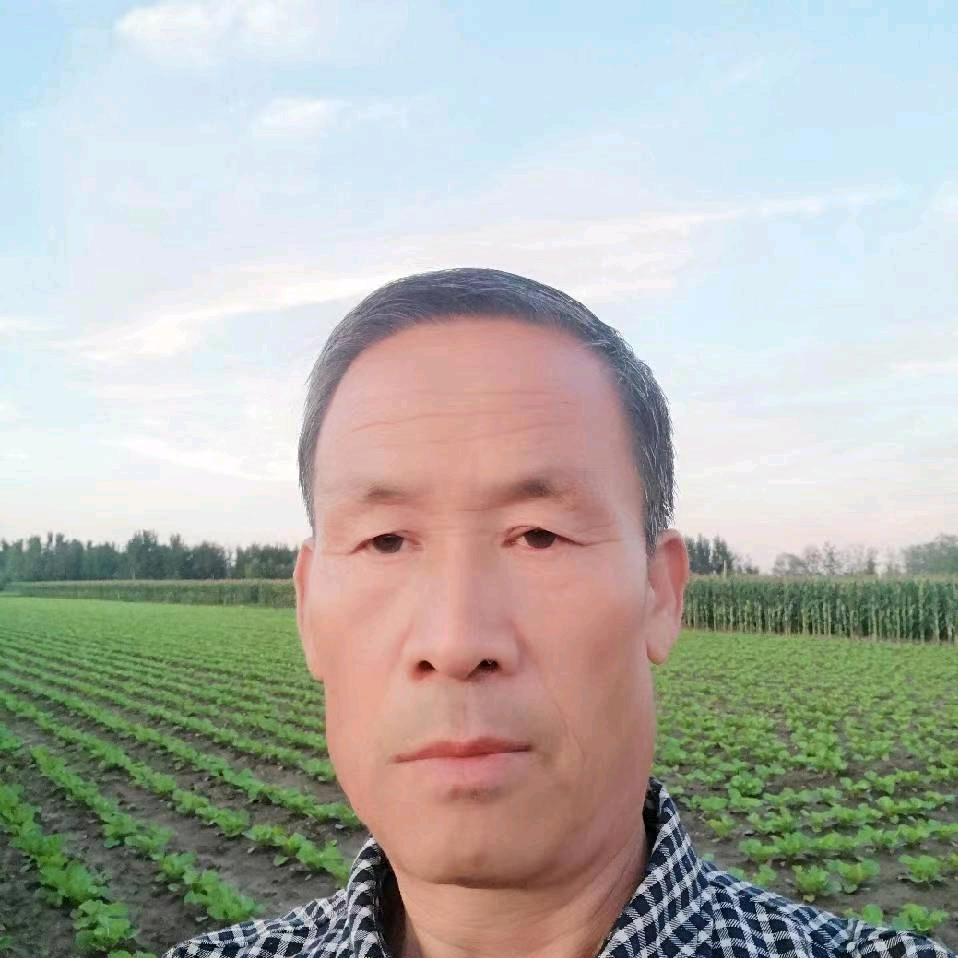 精品短句