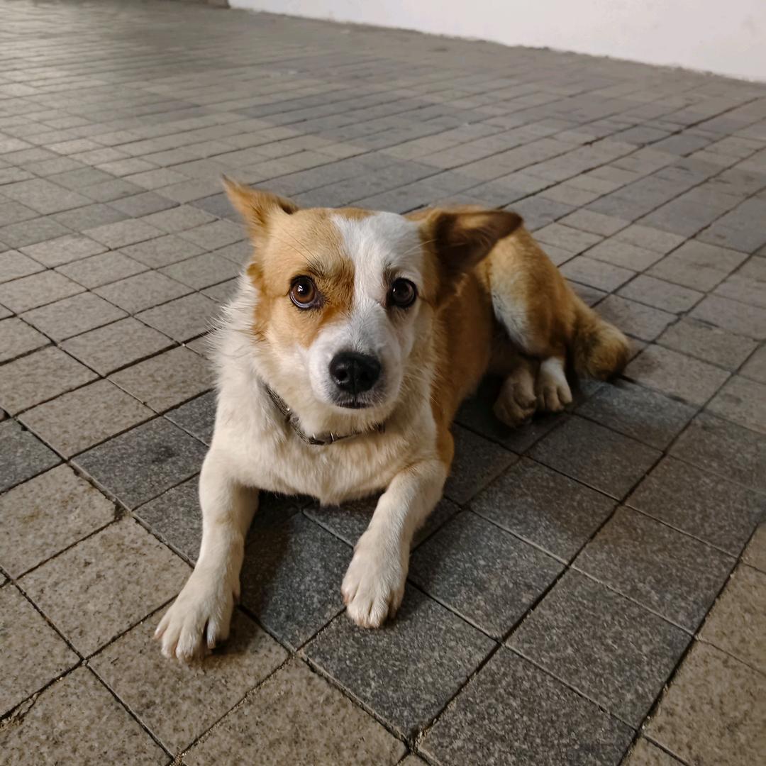 圆周