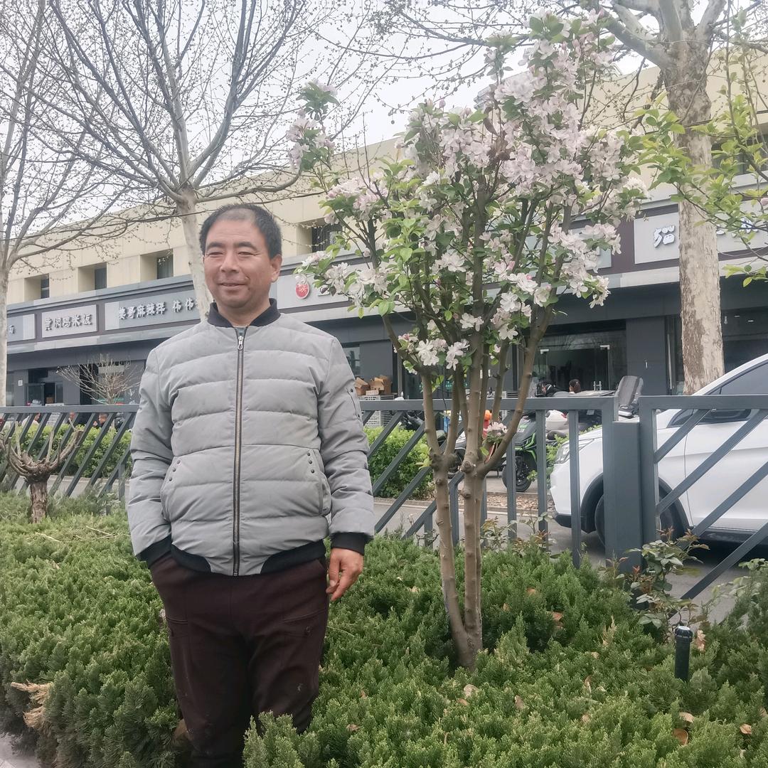 马路鹏