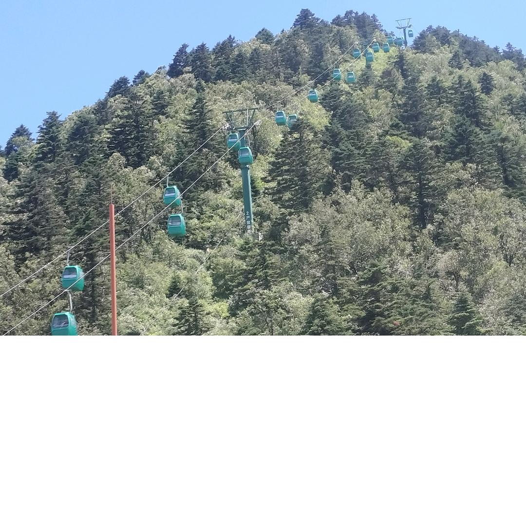 张鹏65轮挖60链板挖机，玉米收割机