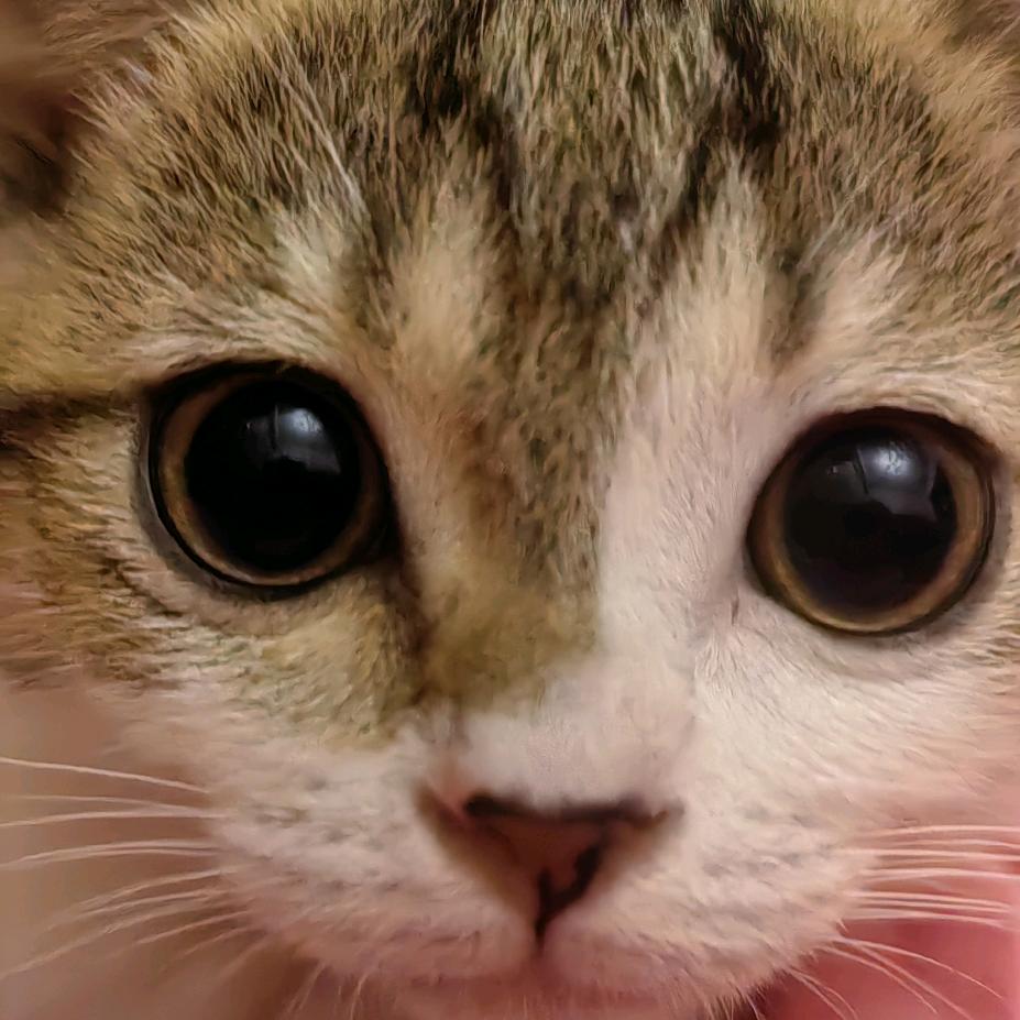 呀呼修馒头