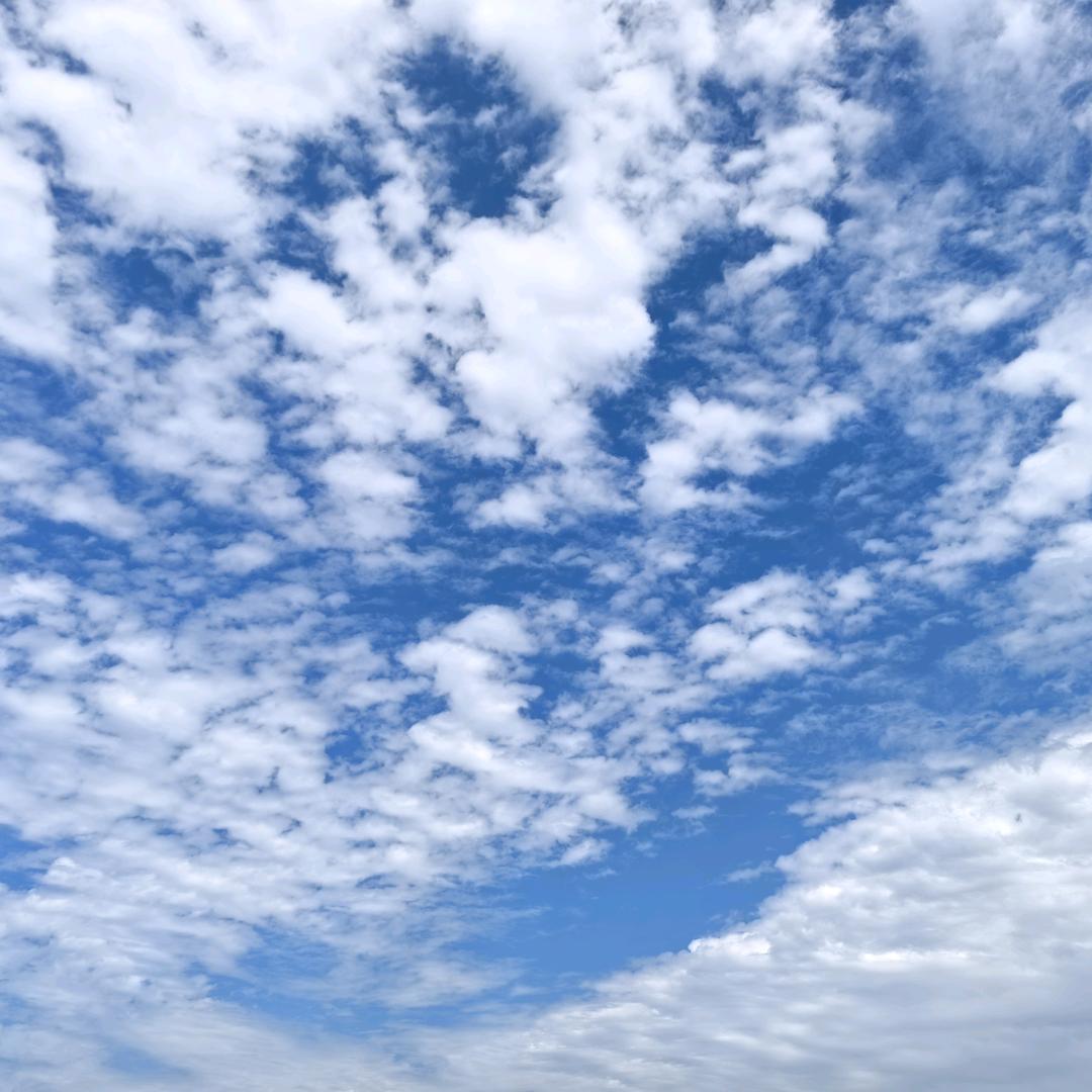 🎵红星闪闪Jasper