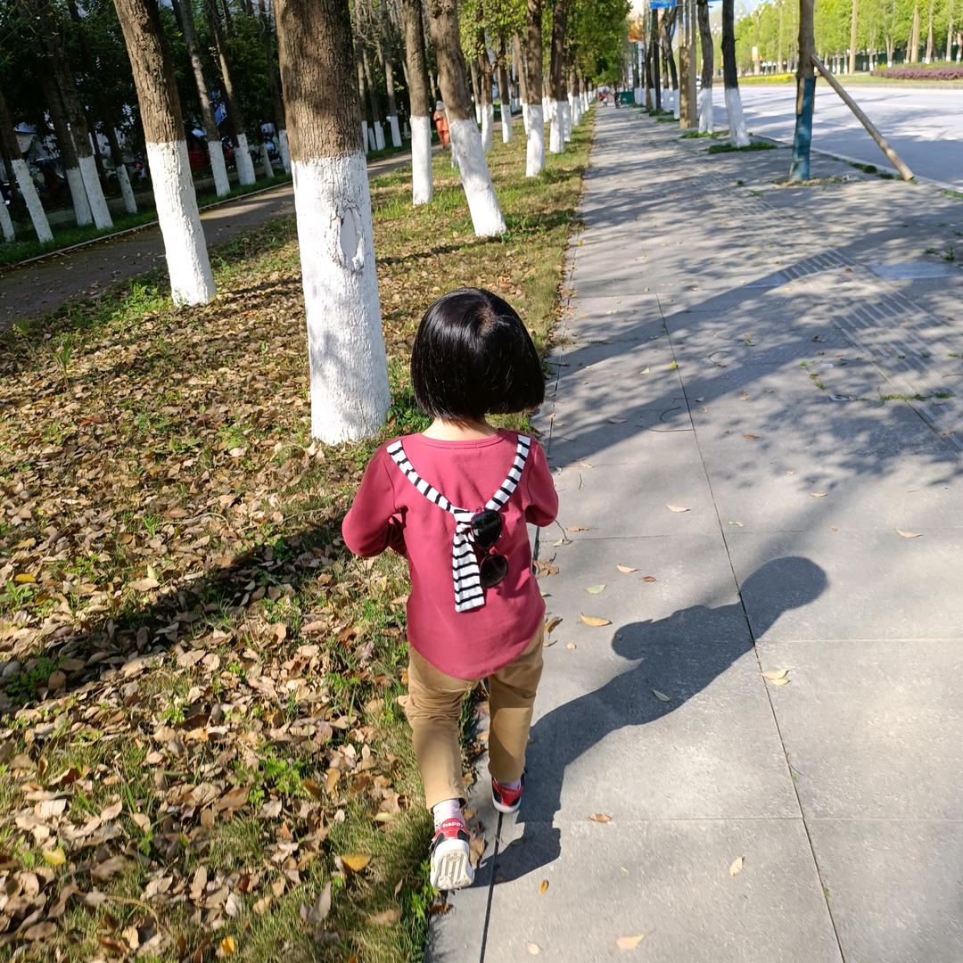 我是一颗小小草