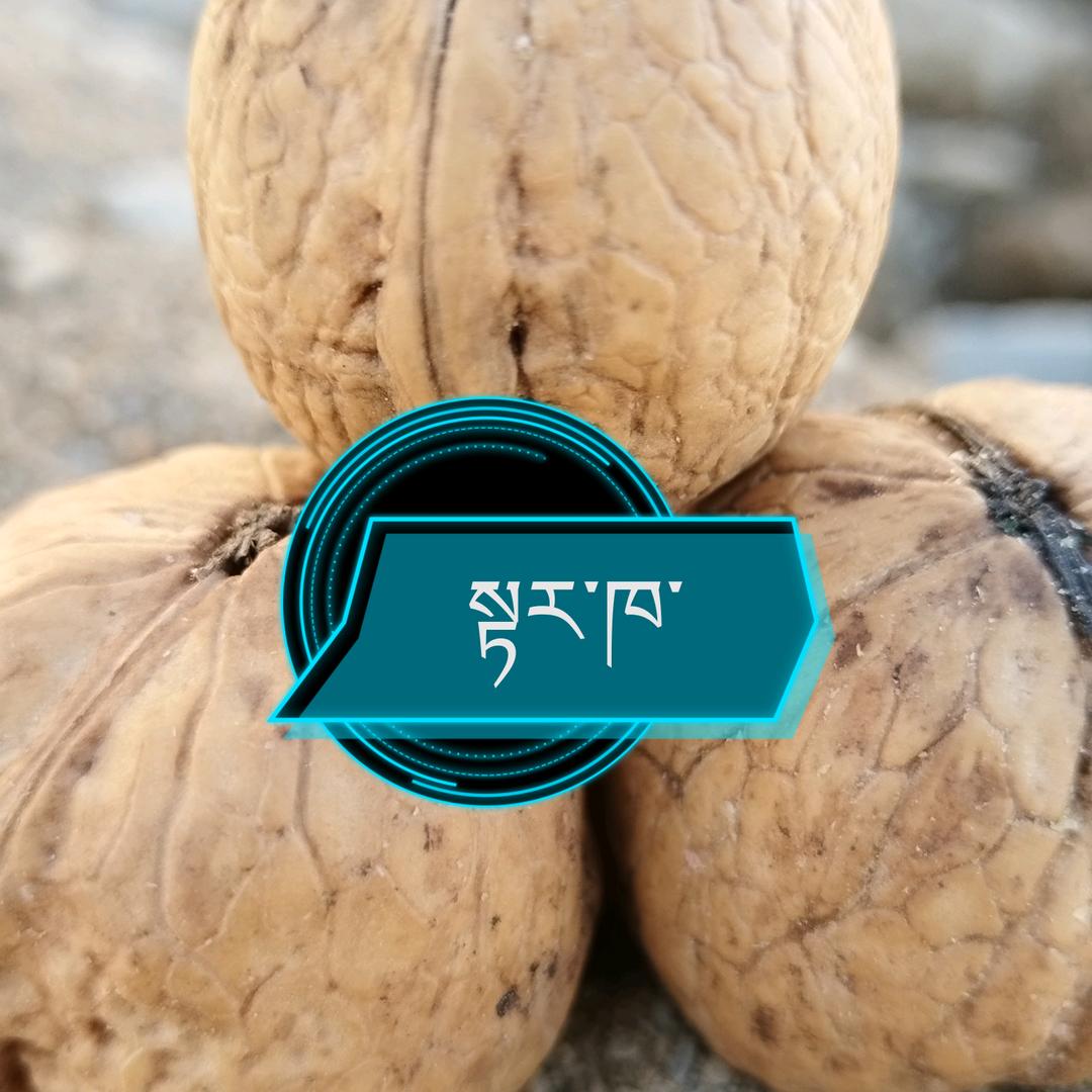 索朗次仁