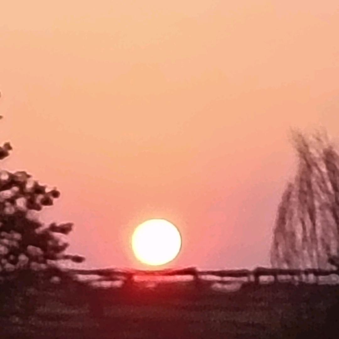 养生茜归鸡特色干锅火锅官方号