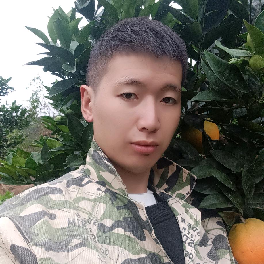 渝-巫奉果果代办